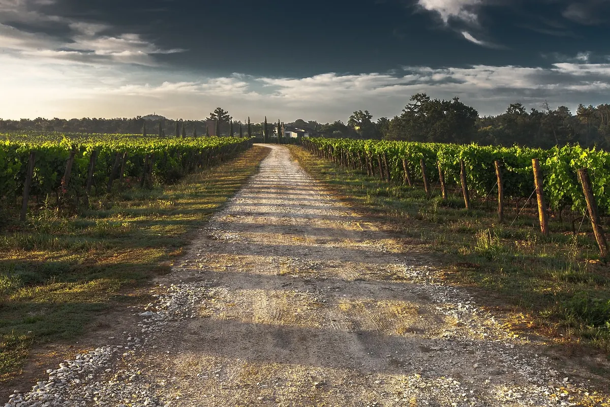 Driving Single-Track Country Lanes: Passing Places, Blind Bends and Farm Traffic